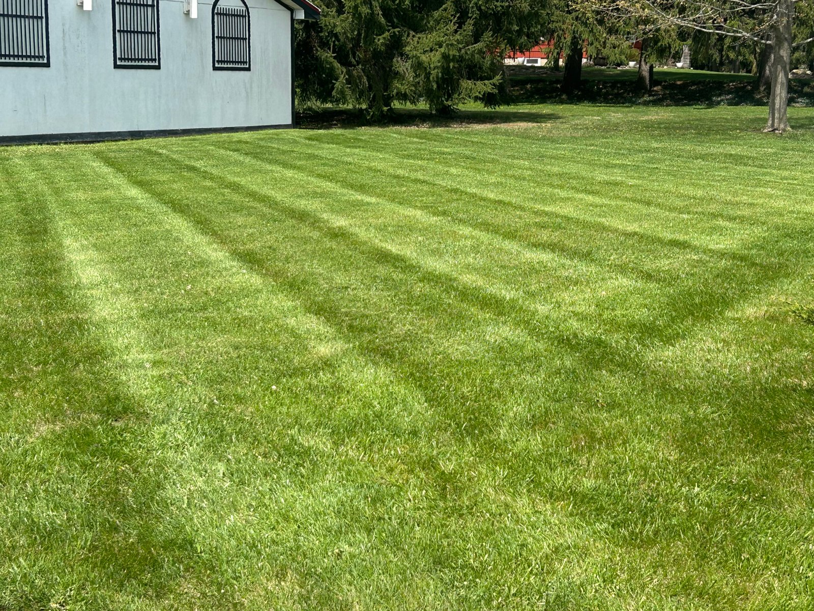 Striped mowed lawn