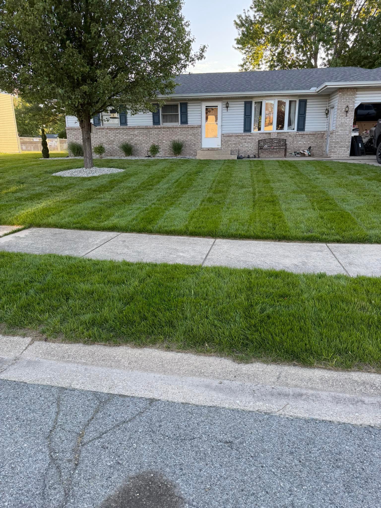 Landscaped front yard