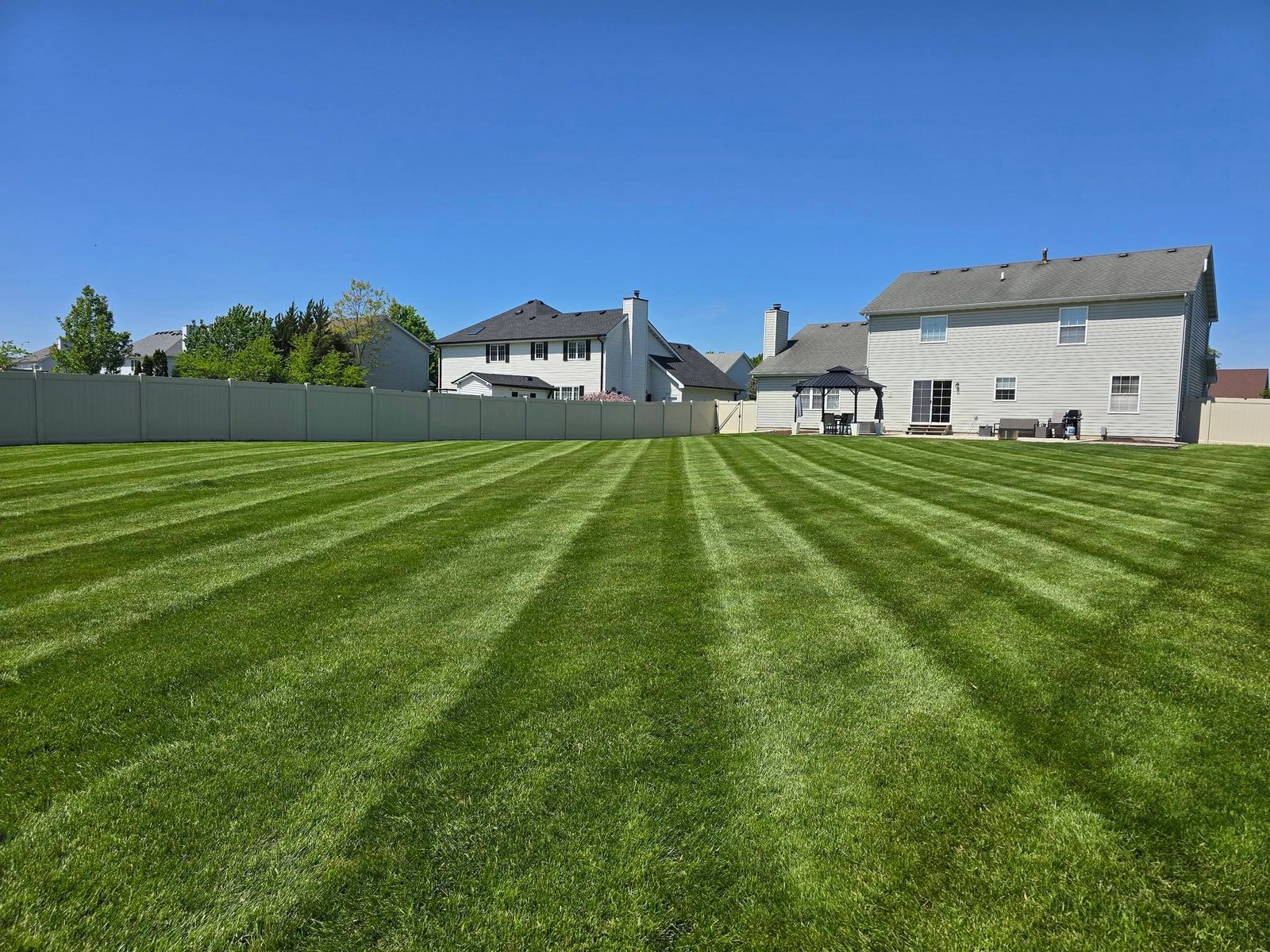 Striped back yard
